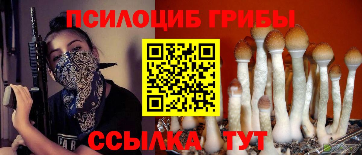 Псилоцибиновые грибы ЛСД Красный Сулин