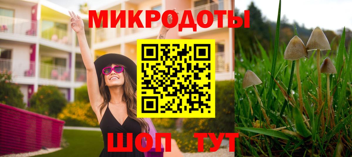 Галлюциногенные грибы мухоморы  Вход с VPN  Красный Сулин  где можно купить наркотик  Псилоцибиновые грибы Psilocybe 